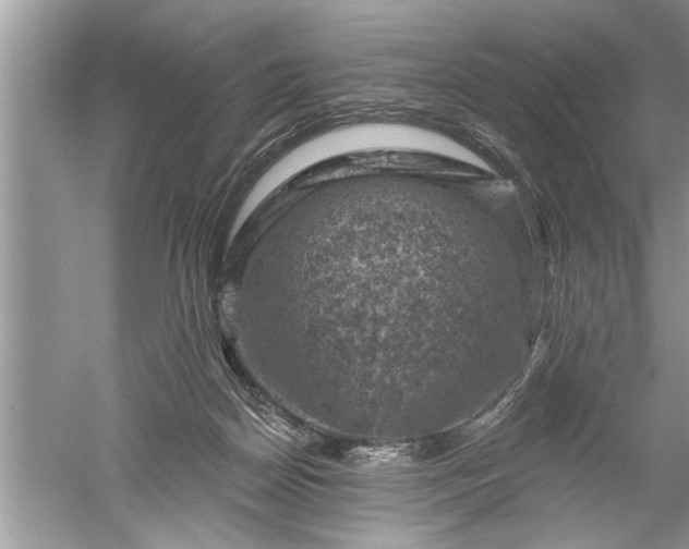 X0000052570170200507152301