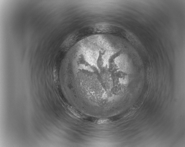 X0000052570173200507152301