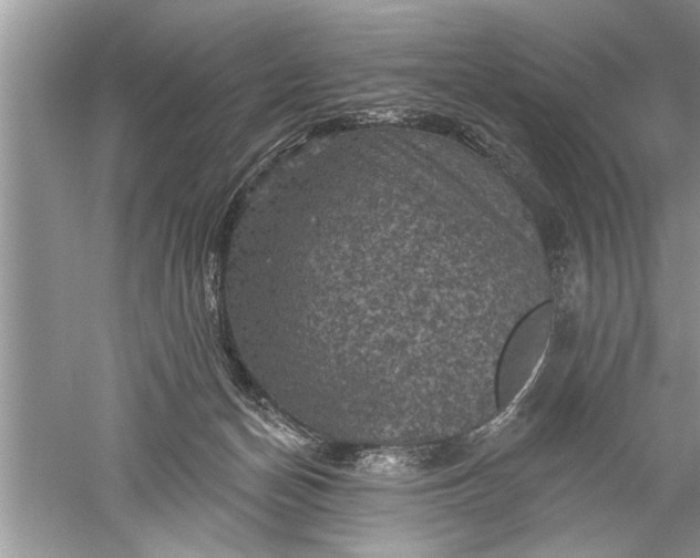 X0000052570174200507152301