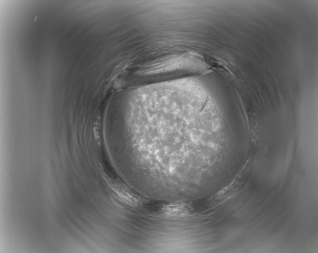 X0000052570175200507152301