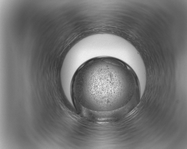 X0000052570176200507152301