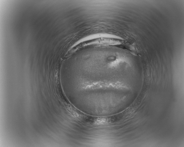 X0000052570177200507152301