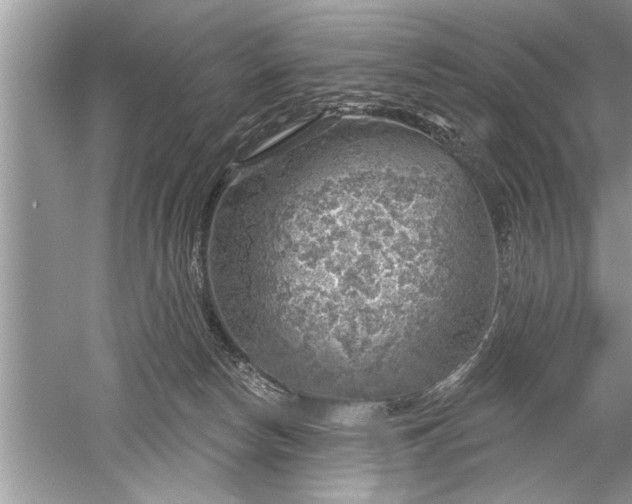 X0000052570178200507152301