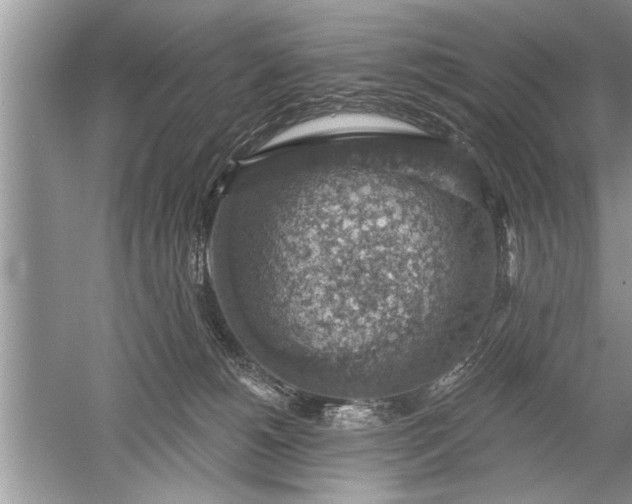 X0000052570180200507152302