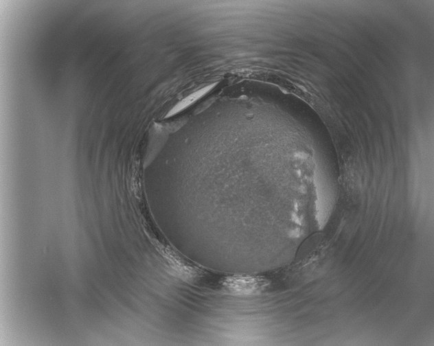 X0000052570181200507152302