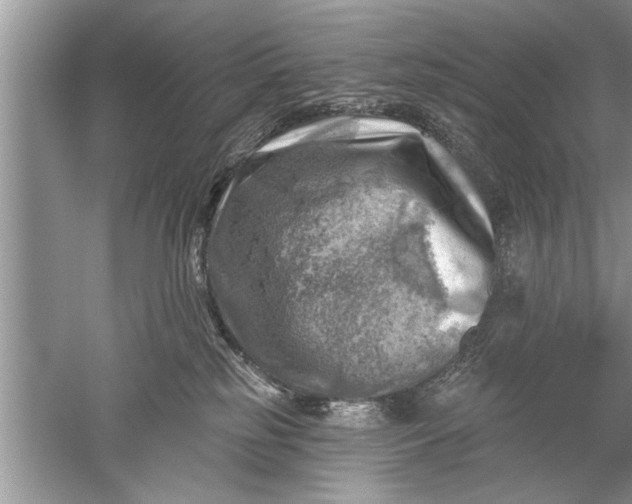 X0000052570185200507152302