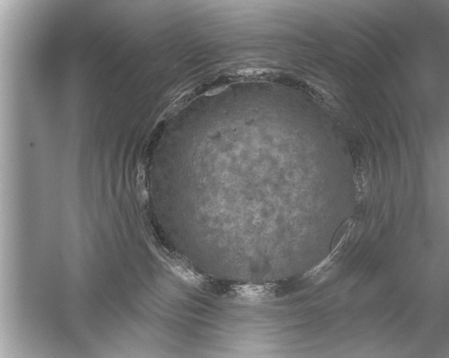 X0000052570187200507152302