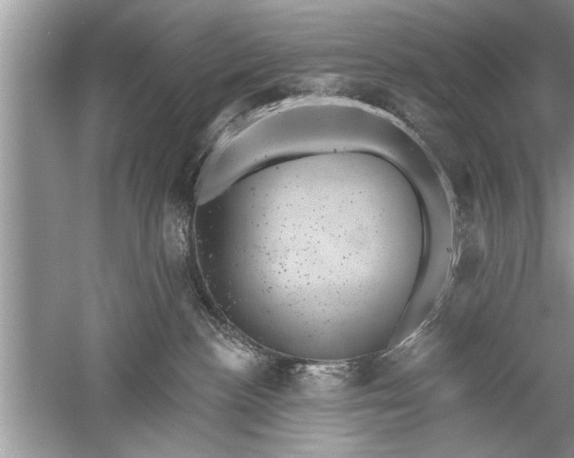 X0000052570188200507152302