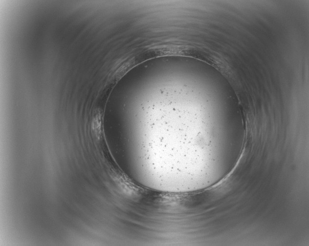 X0000052570190200507152302