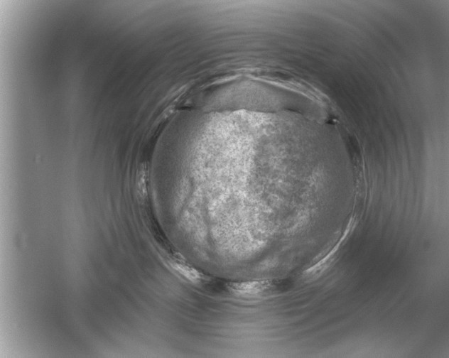 X0000052570191200507152302