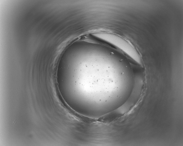 X0000052570193200507152301