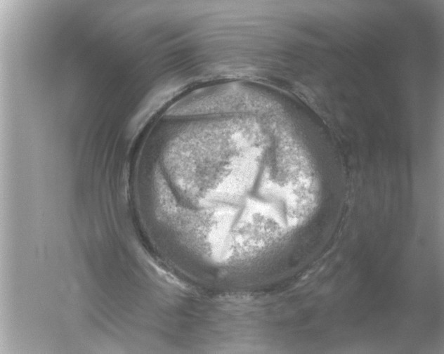 X0000052570194200507152301