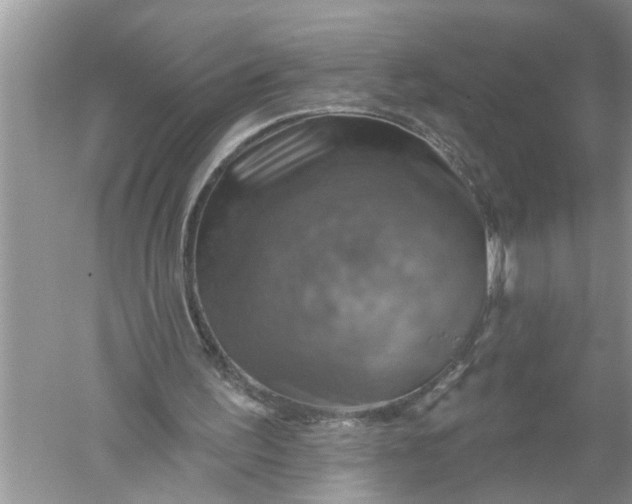 X0000052570195200507152301