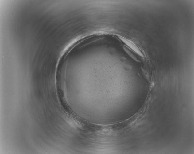 X0000052570196200507152301