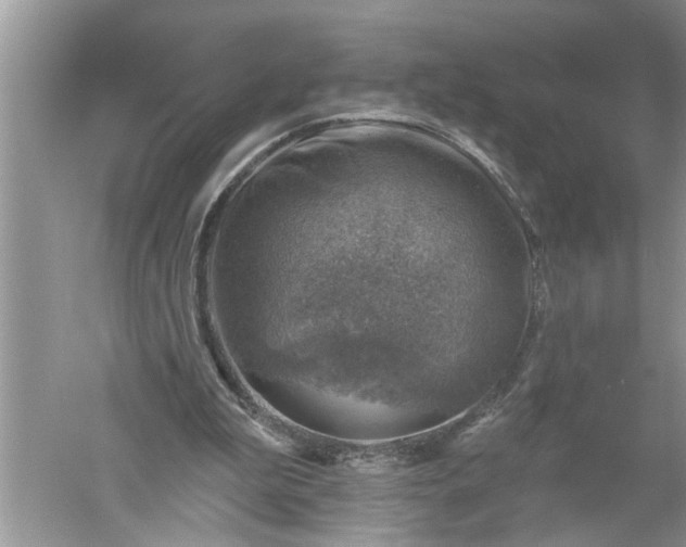 X0000052570199200507152301