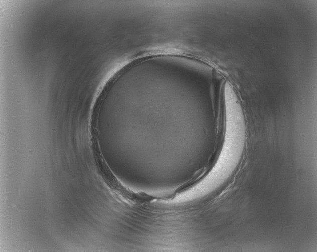 X0000052570200200507152301