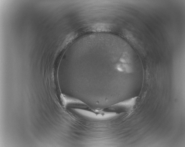 X0000052570202200507152301