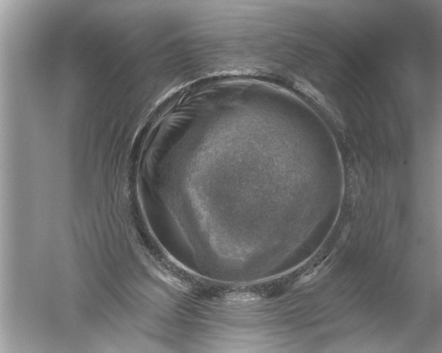 X0000052570203200507152301