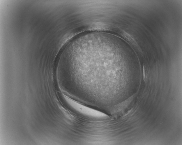 X0000052570204200507152301