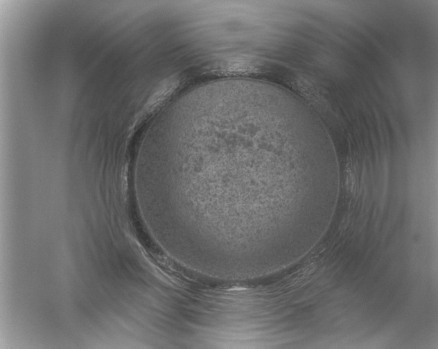 X0000052570206200507152301