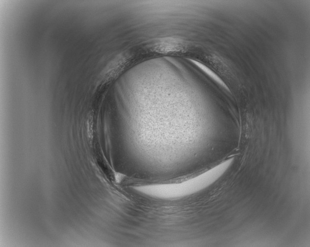 X0000052570210200507152301