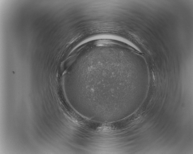 X0000052570211200507152301