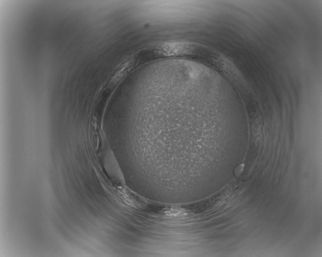 X0000052570214200507152301