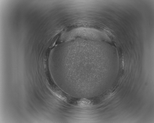 X0000052570215200507152301