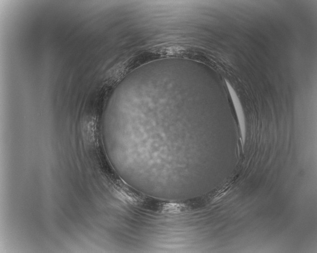 X0000052570222200507152300