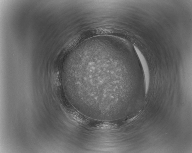 X0000052570224200507152300