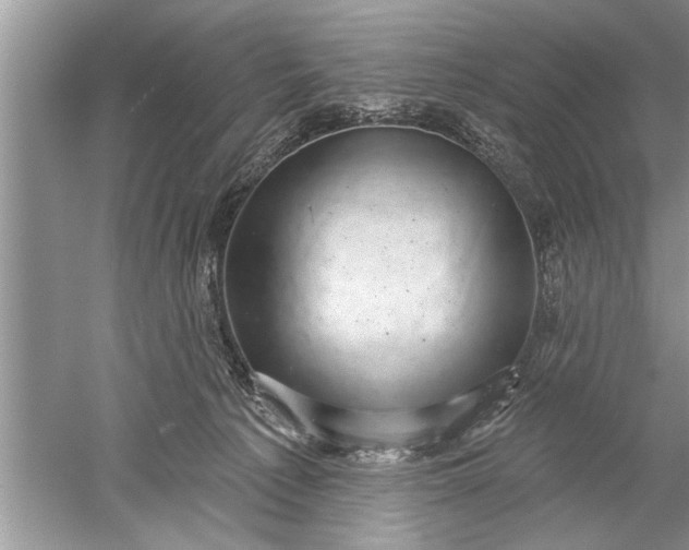 X0000052570225200507152300