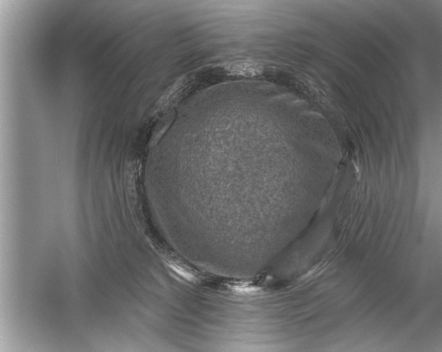 X0000052570229200507152300