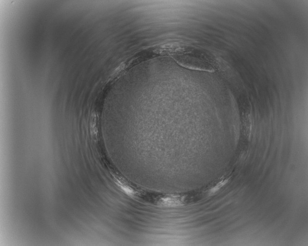 X0000052570232200507152300