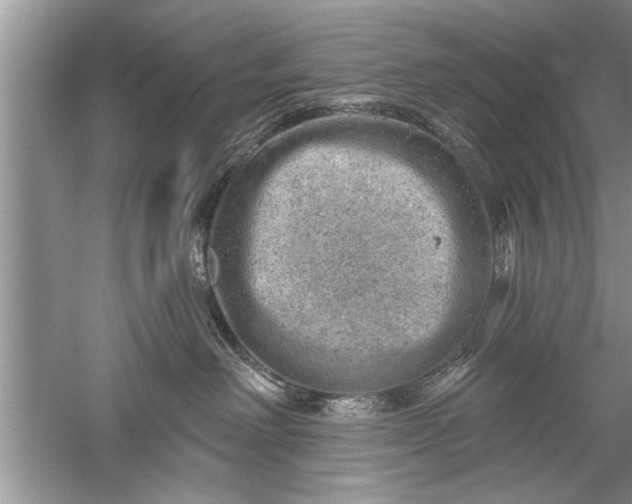 X0000052570238200507152300