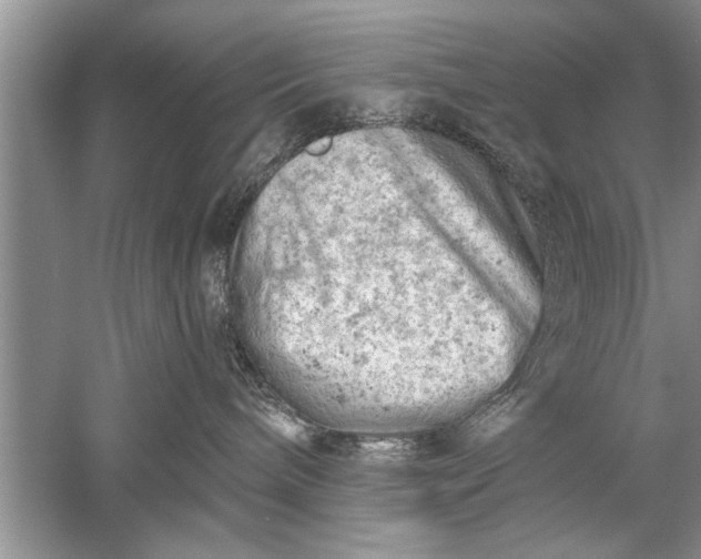 X0000052570240200507152300