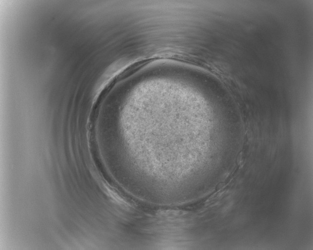 X0000052570242200507152259