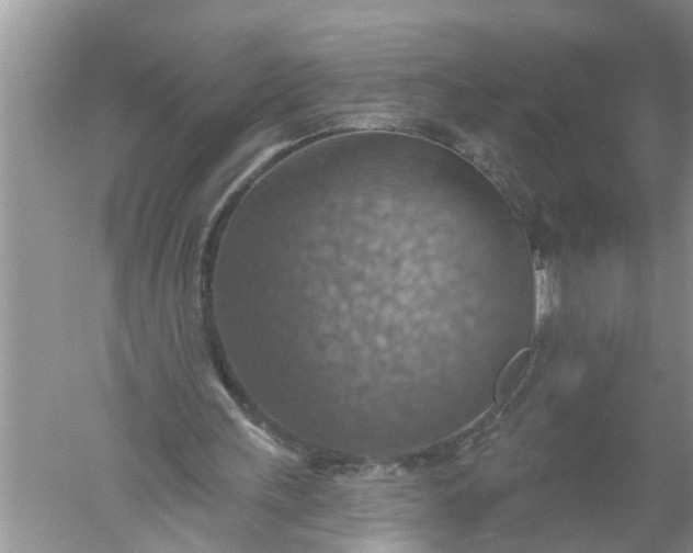 X0000052570243200507152259