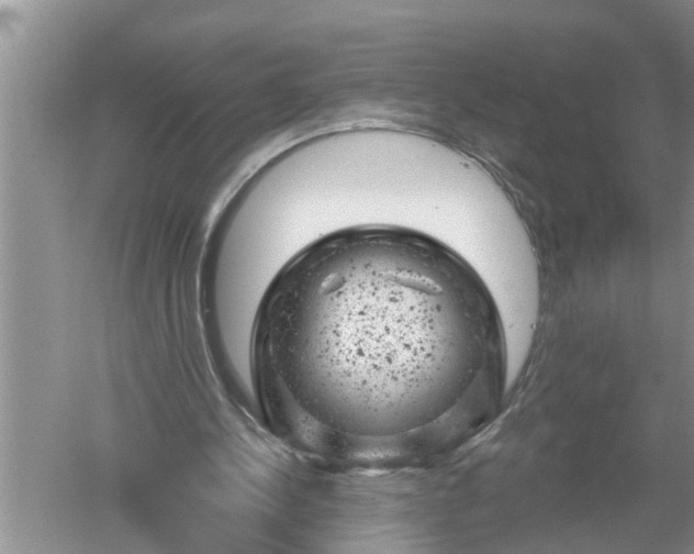 X0000052570244200507152259