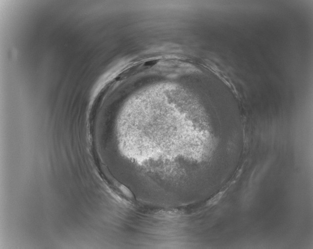 X0000052570245200507152259