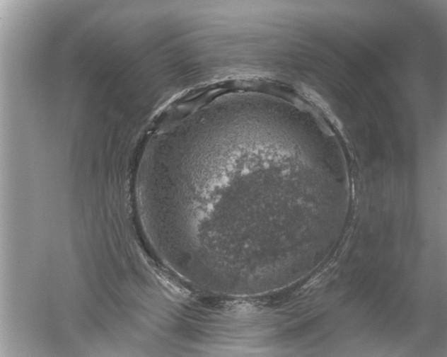 X0000052570249200507152259