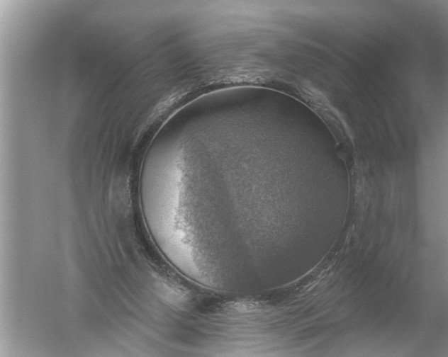 X0000052570250200507152259