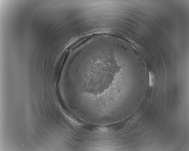 X0000052570253200507152259