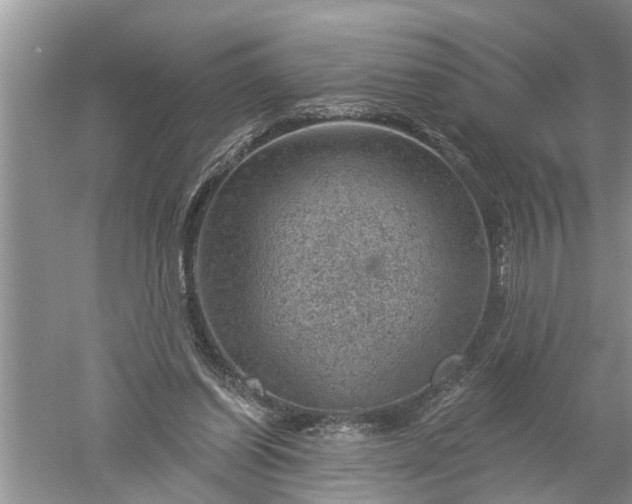 X0000052570254200507152300