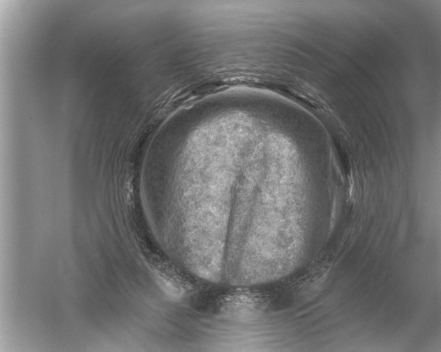 X0000052570259200507152300