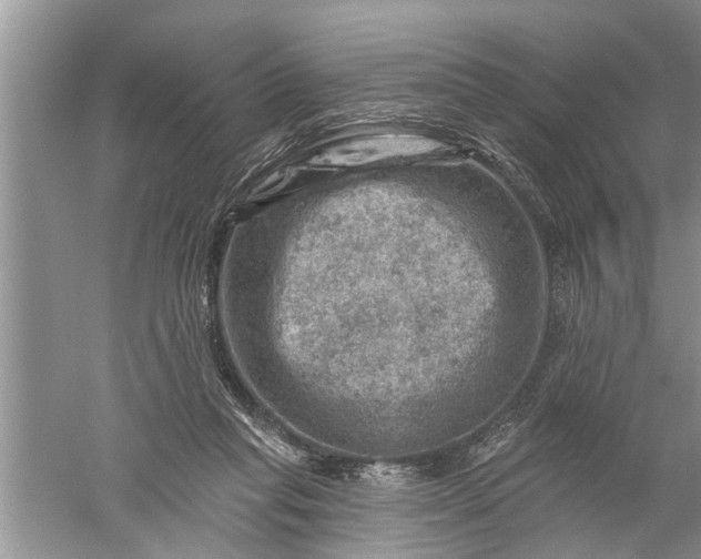 X0000052570261200507152300