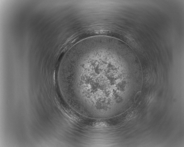 X0000052570262200507152300