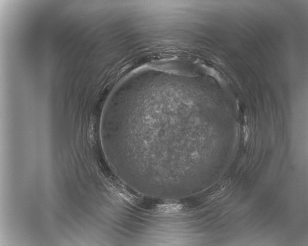 X0000052570266200507152300