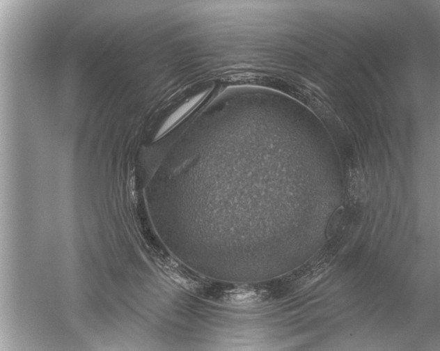 X0000052570267200507152300