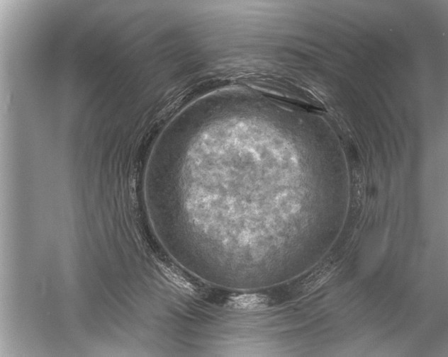 X0000052570269200507152300