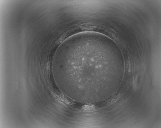 X0000052570271200507152300